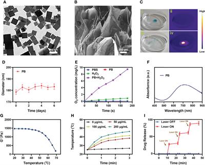 Nanozyme Hydrogels for Self-Augmented Sonodynamic/Photothermal Combination Therapy